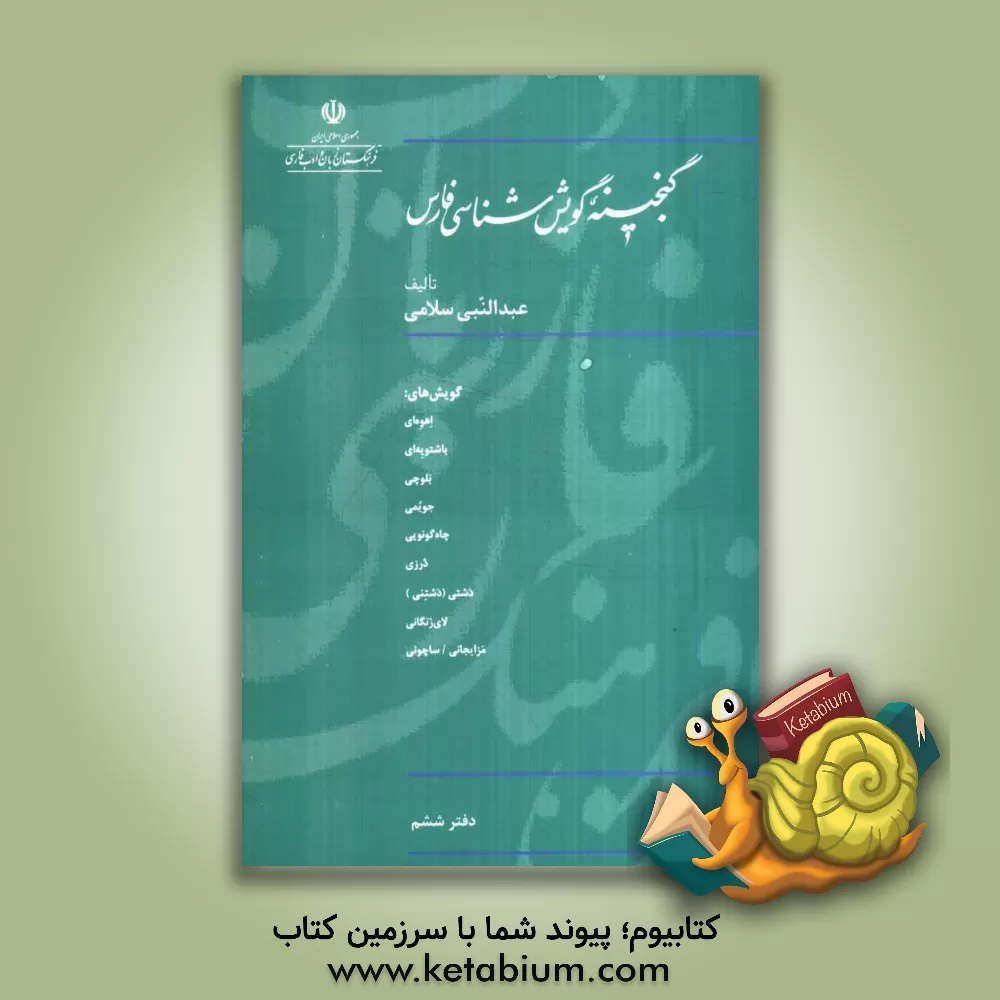 کتاب گنجینه گویش شناسی فارسی اثر عبدالنبی سلامی