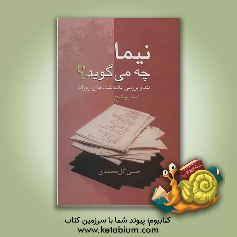 کتاب نیما چه می گوید؟ نقد و بررسی یادداشت های روزانه نیما یوشیج اثر حسن گل‌محمدی