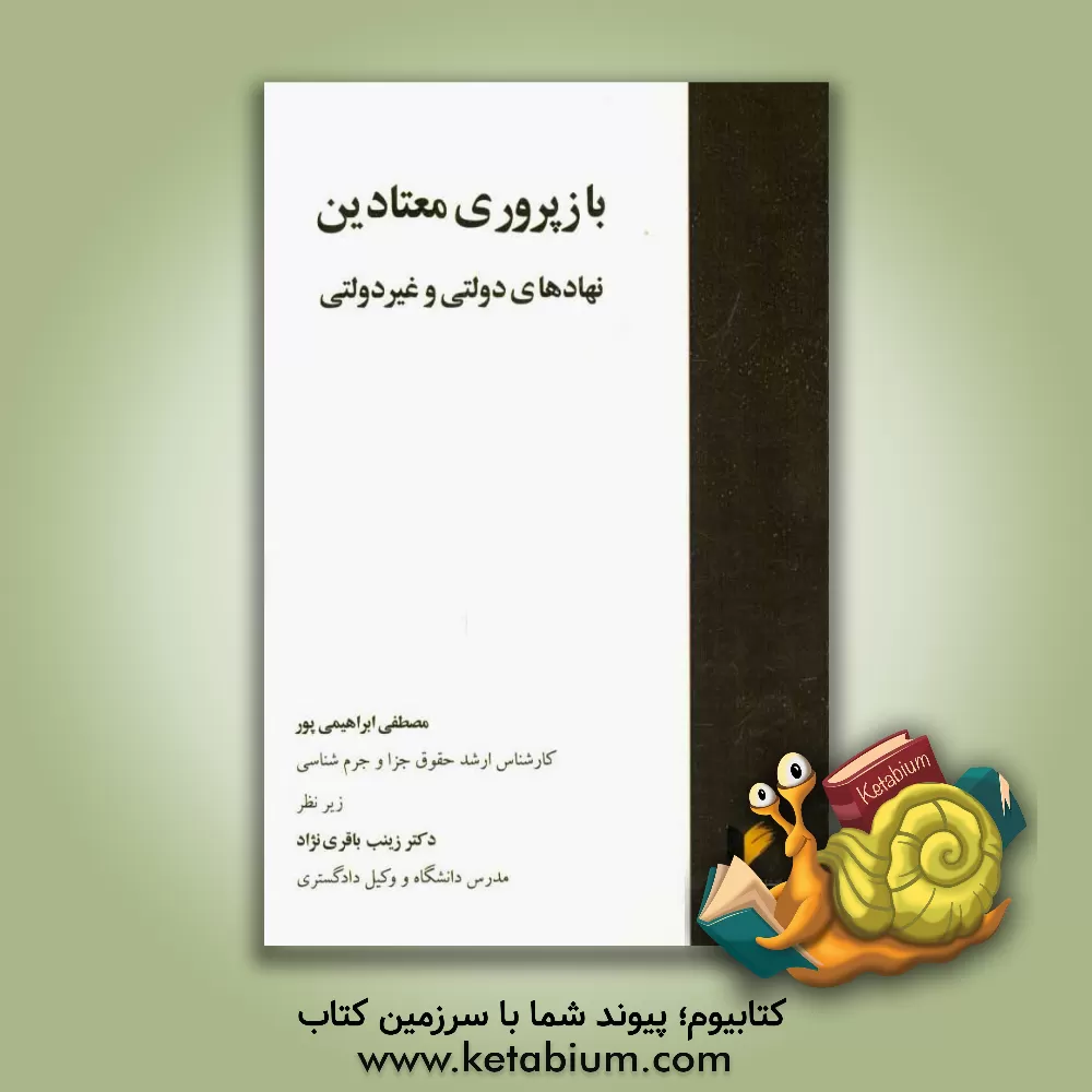 کتاب بازپروری معتادین نهادهای دولتی و غیر دولتی |اثر مصطفی ابراهیمی پور