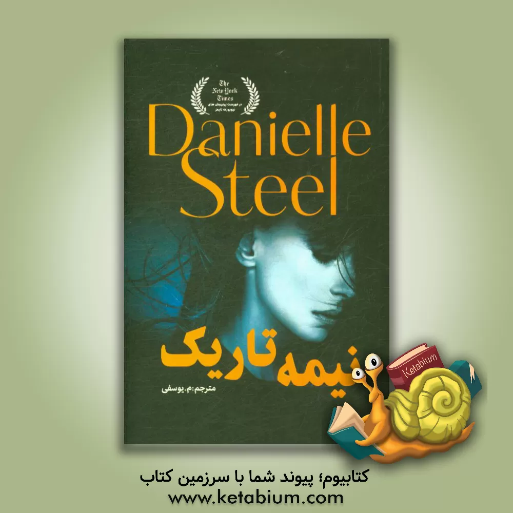 کتاب نیمه تاریک اثر دانیل اس‍ت‍ی‍ل‌