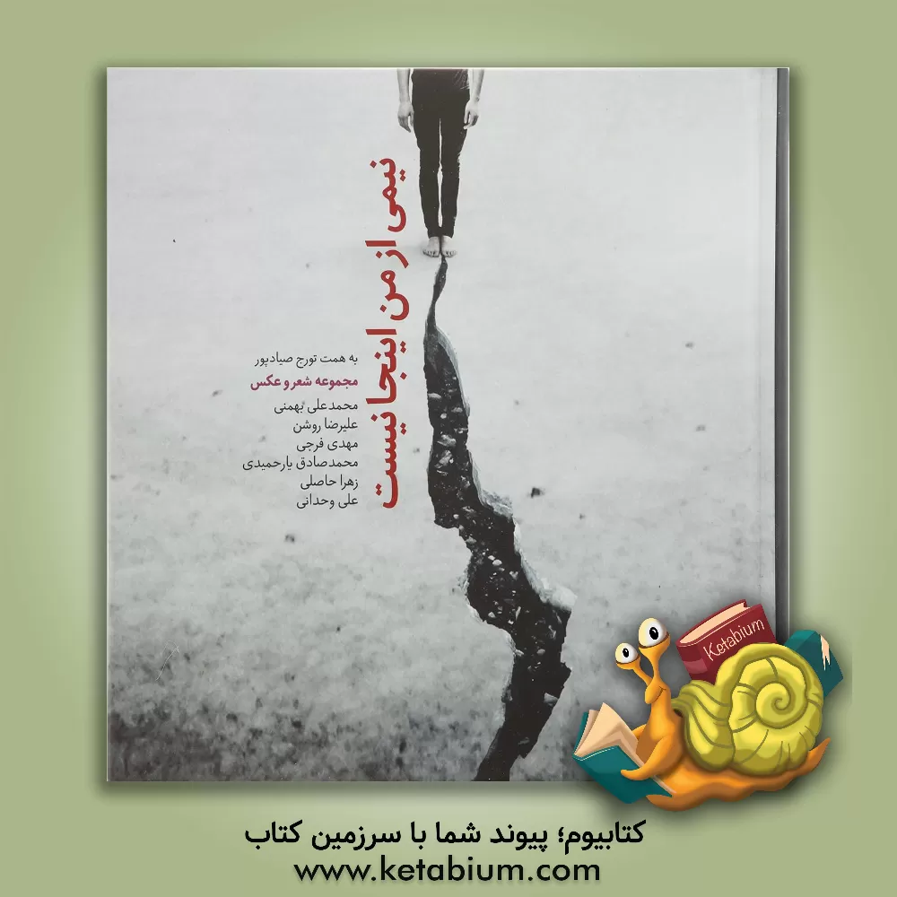 کتاب نیمی از من اینجا نیست: مجموعه شعر و عکس محمدعلی بهمنی، علیرضا روشن، مهدی فرجی، محمدصادق یارحمیدی، زهرا حاصلی، علی وحدانی اثر تورج صیادپور