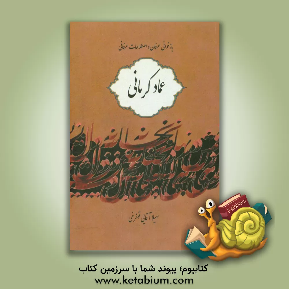 کتاب بازخوانی عرفان و اصطلاحات عرفانی دیوان عماد کرمانی اثر سهیلا آقائی‌قهفرخی