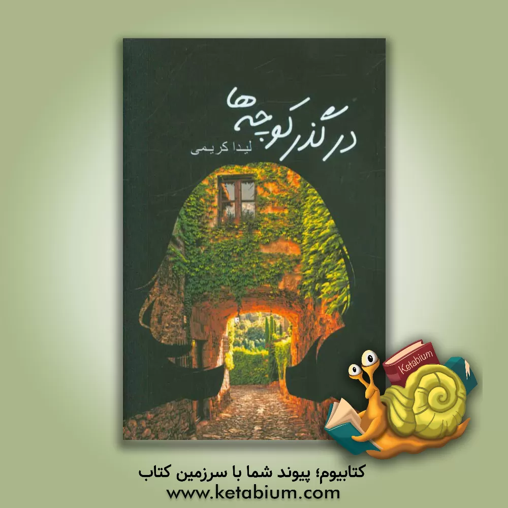 کتاب درگذر کوچه ها اثر لیدا کریمی‌شرفشاده