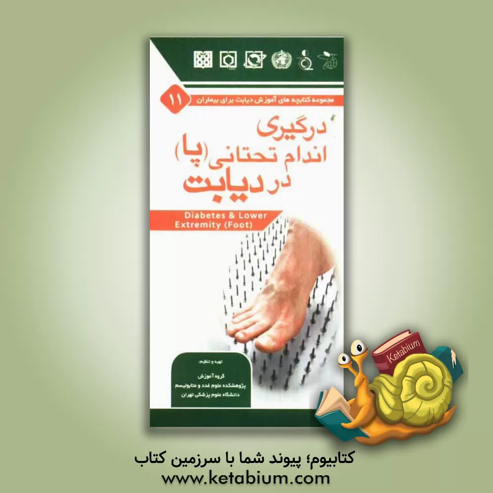 کتاب درگیری اندام تحتانی (پاها) در دیابت اثر ساسان شرقی