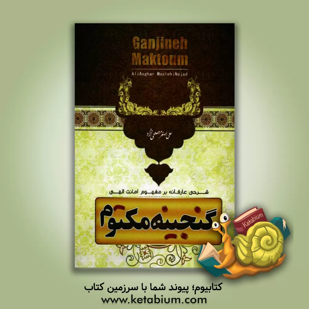 کتاب گنجینه مکتوم اثر علی‌اصغر مصلحی‌نژاد