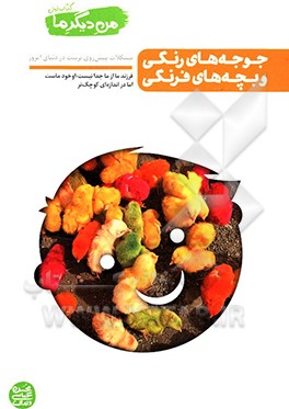 کتاب بازی روی ابر خیال و کودکی های رو به زوال: نقش  بازی های رایانه ای در تربیت فرزند اثر محسن عباسی‌ولدی