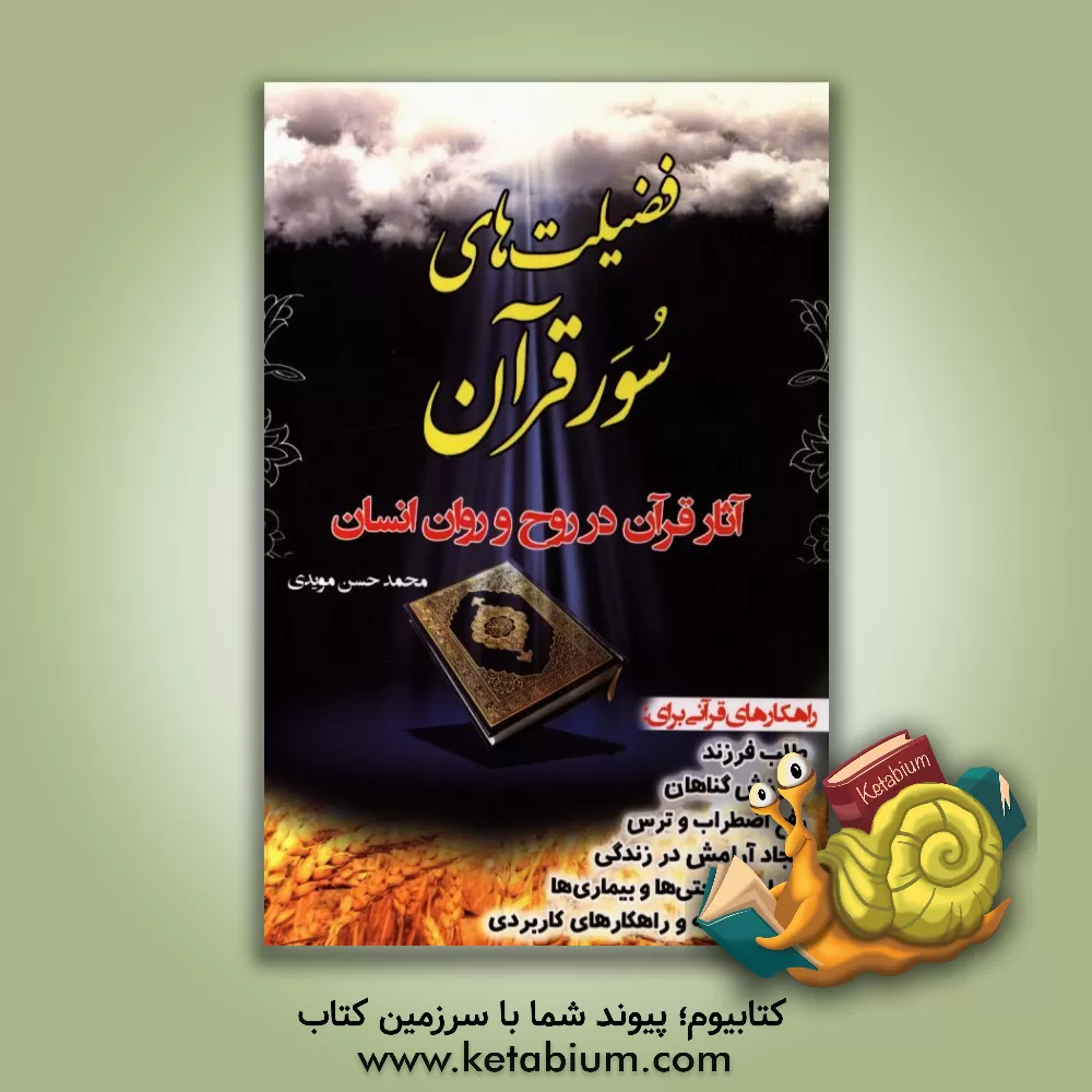 کتاب فضیلت های سور قرآن: آثار قرآن در روح و روان انسان اثر محمد‌حسن مویدی