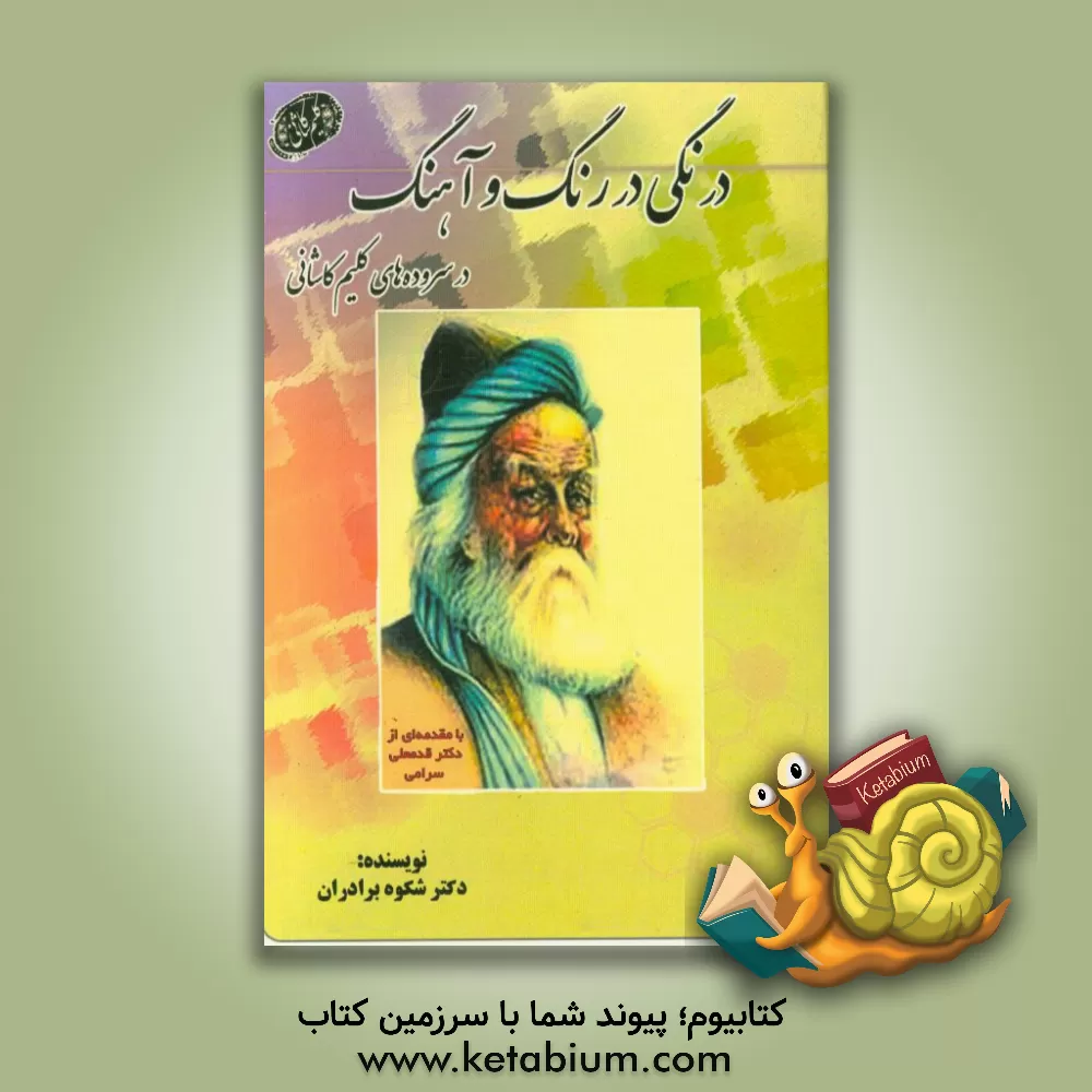 کتاب درنگی در رنگ و آهنگ در سروده های کلیم کاشانی اثر شکوه برادران