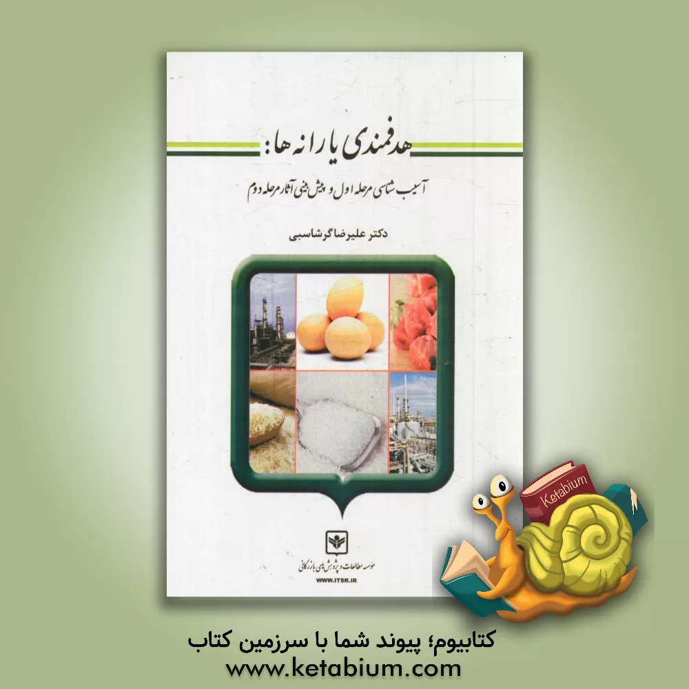 کتاب هدفمندی یارانه ها: آسیب شناسی مرحله اول و پیش بینی آثار مرحله دوم اثر علیرضا گرشاسبی