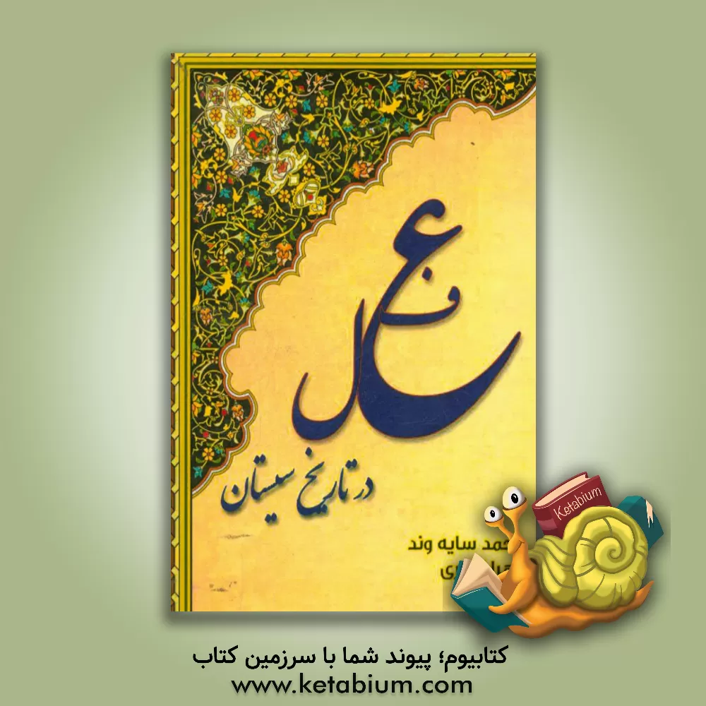 کتاب فعل در تاریخ سیستان اثر زهرا اکبری