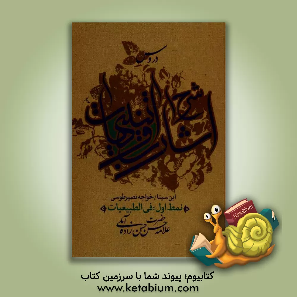 کتاب دروس شرح اشارات و تنبیهات: نمط اول: فی الطبیعیات اثر حسن حسن‌زاده‌آملی