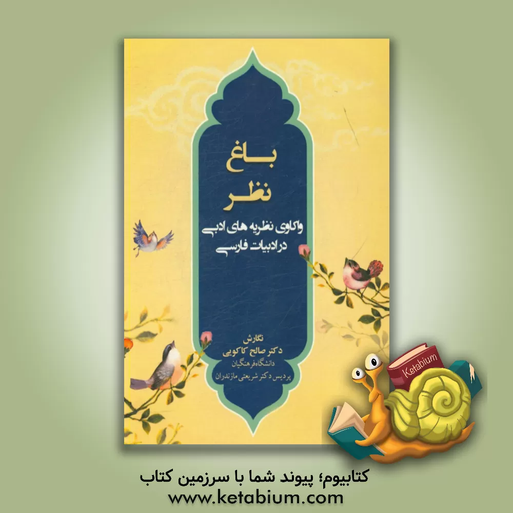 کتاب باغ نظر: واکاوی نظریه های ادبی در ادبیات فارسی اثر صالح کاکویی