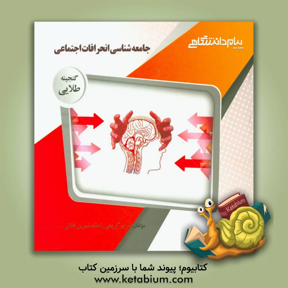 کتاب گنجینه ی طلایی جامعه شناسی انحرافات اجتماعی اثر نسرین قلانی