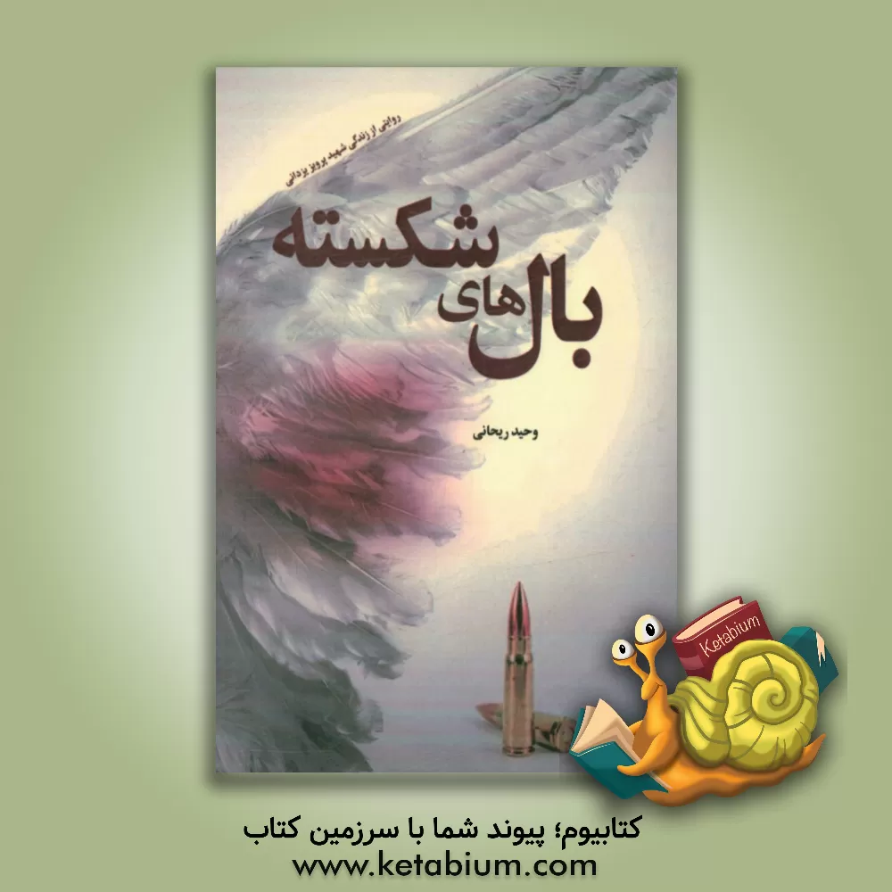 کتاب بال های شکسته: روایتی از زندگی شهید پرویز یزدانی اثر وحید ریحانی