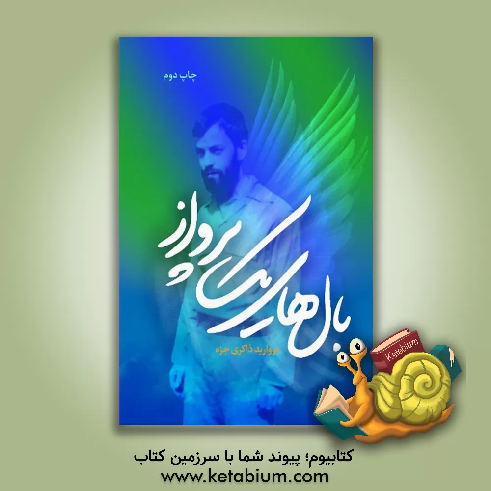 کتاب بال های یک پرواز اثر مروارید ذاکری‌جزه