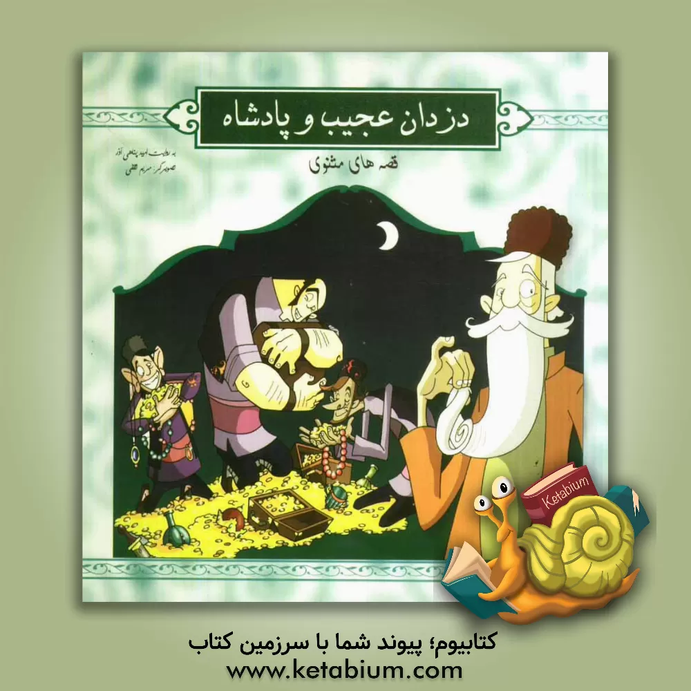 کتاب دزدان عجیب و پادشاه اثر مریم ثقفی