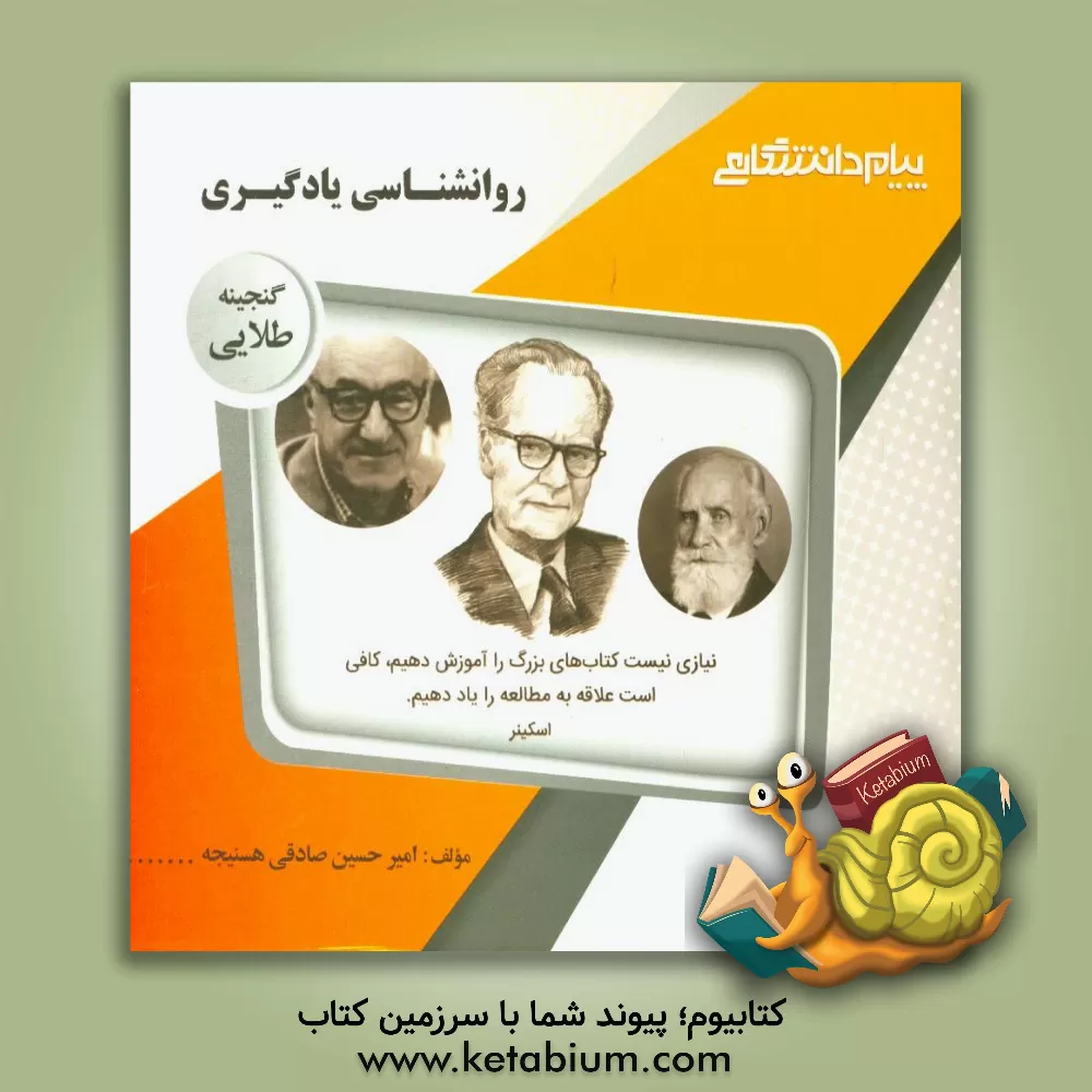 کتاب گنجینه ی طلایی روان شناسی یادگیری اثر امیرحسین صادقی‌هسنیجه