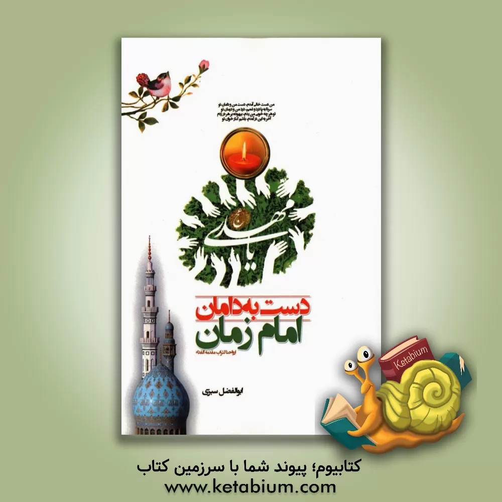 کتاب دست به دامان امام زمان (عج) اثر ابوالفضل سبزی