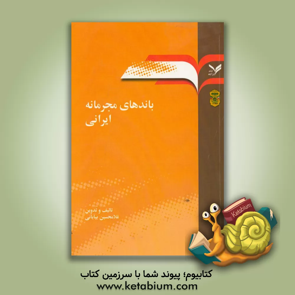 کتاب باندهای مجرمانه ایرانی اثر غلامحسین بیابانی