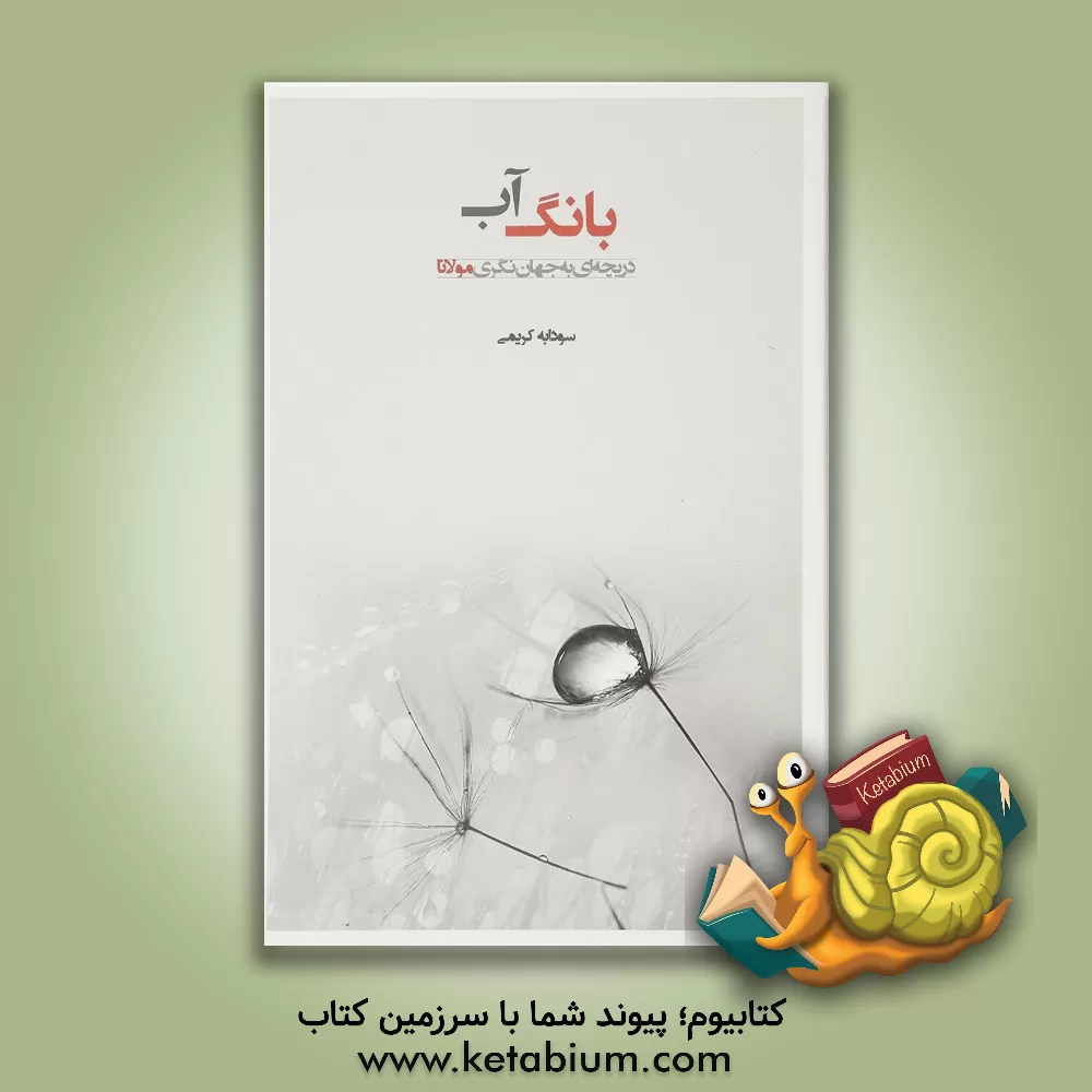 کتاب بانگ آب: دریچه ای به جهان نگری مولانا اثر سودابه کریمی