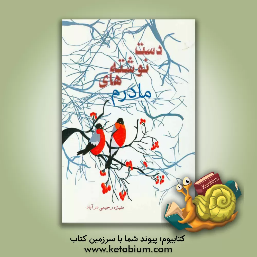 کتاب دست نوشته های مادرم اثر منیژه رحیمی‌درآباد