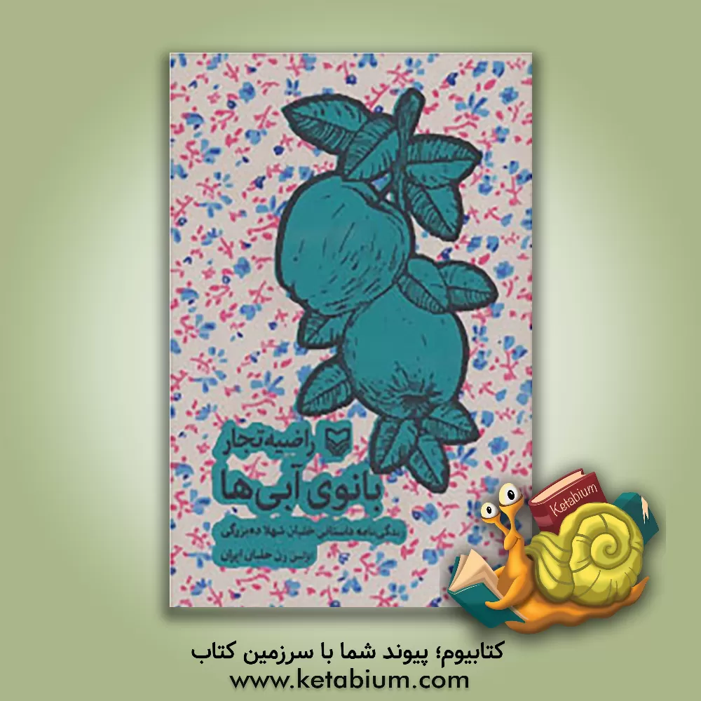 کتاب بانوی آبی ها: زندگی نامه  داستانی خلبان شهلا ده بزرگی اولین زن خلبان ایران اثر راضیه تجار