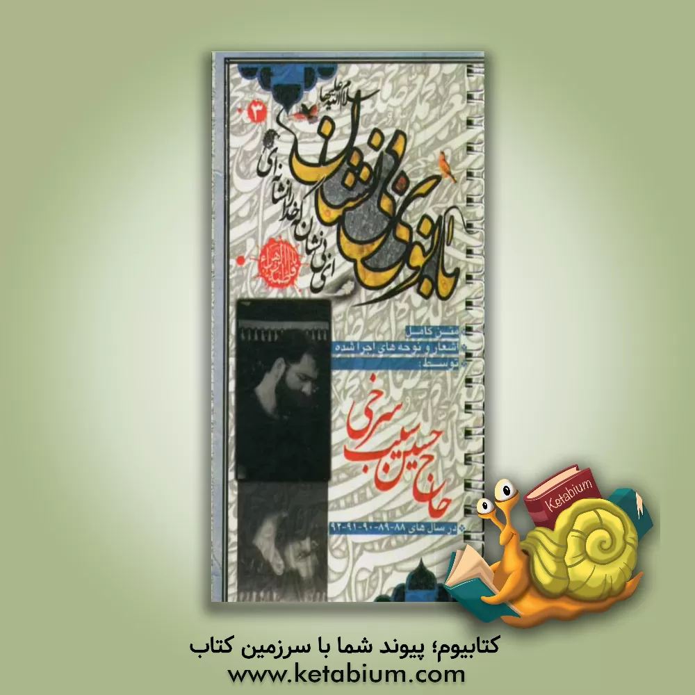 کتاب بانوی بی نشان (3): حاج حسین سیب سرخی ایام فاطمیه اثر محمدحسین احمدی