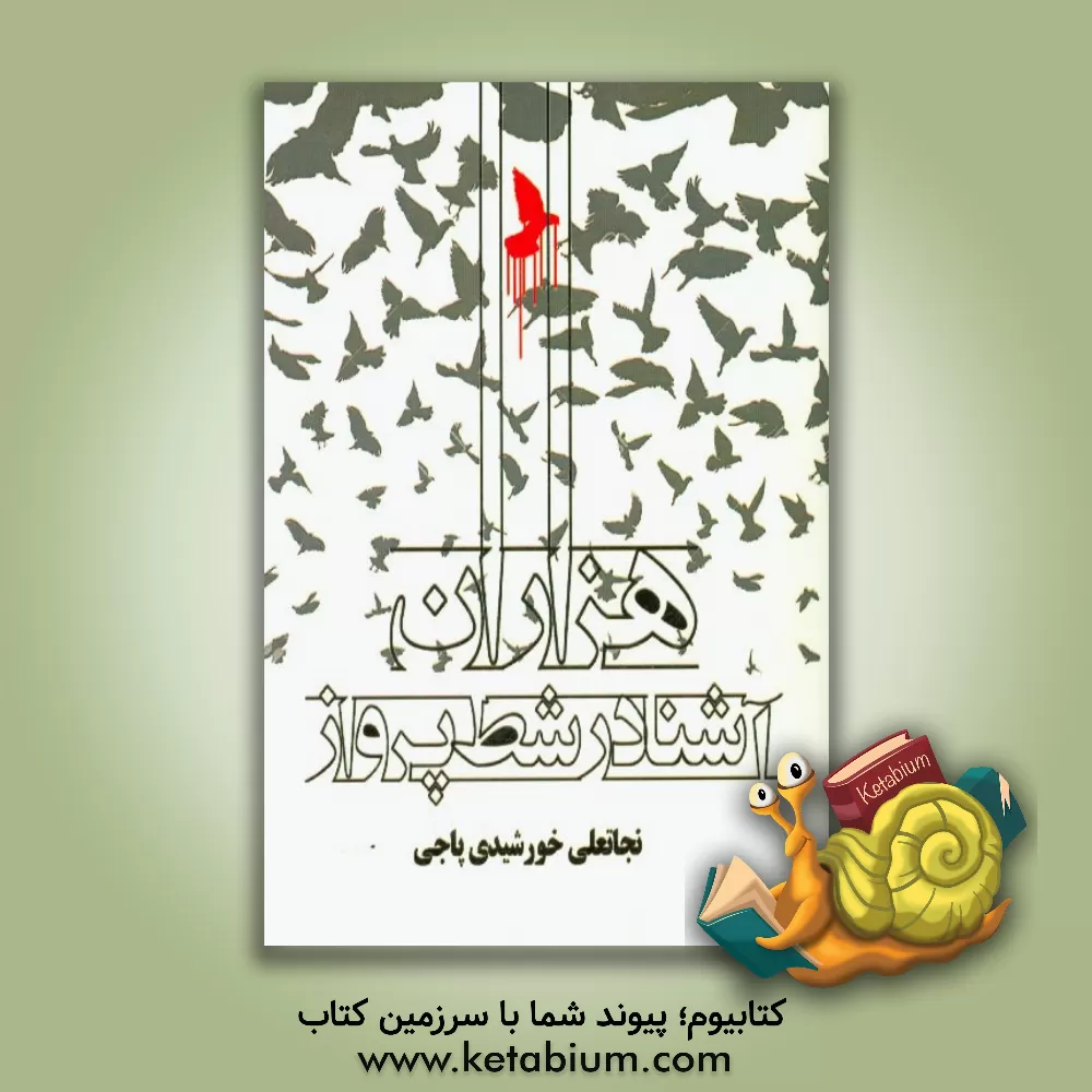 کتاب هزاران آشنا در شط پرواز اثر نجاتعلی خورشیدی‌پاجی