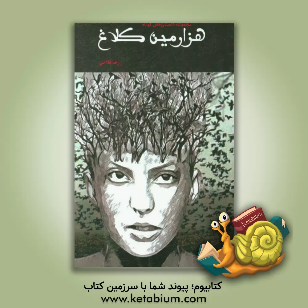 کتاب هزارمین کلاغ (مجموعه داستان های کوتاه) اثر رضا فلاحی