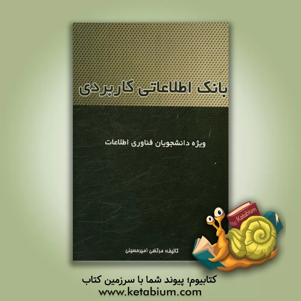 کتاب بانک اطلاعاتی کاربردی: ویژه دانشجویان فناوری اطلاعات اثر مرتضی امیرحسینی