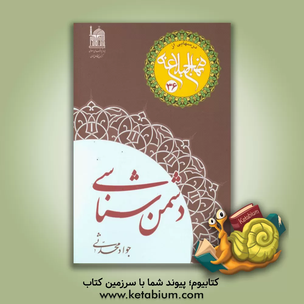 کتاب دشمن شناسی اثر رضا تقوی‌دامغانی