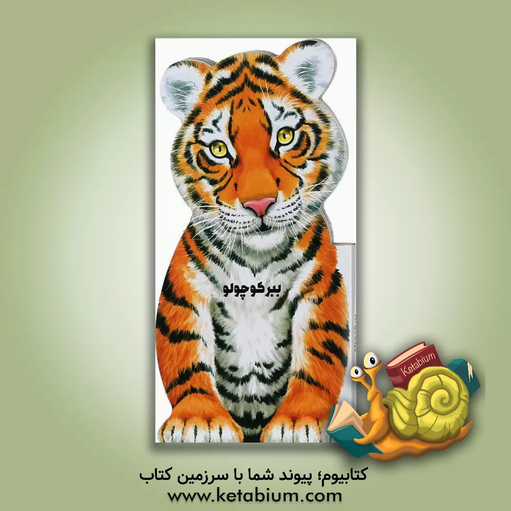 کتاب ببر کوچولو اثر جووانی کاویتسل