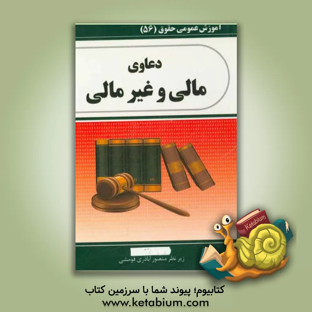 کتاب دعاوی مالی و غیر مالی اثر منصور اباذری‌فومشی