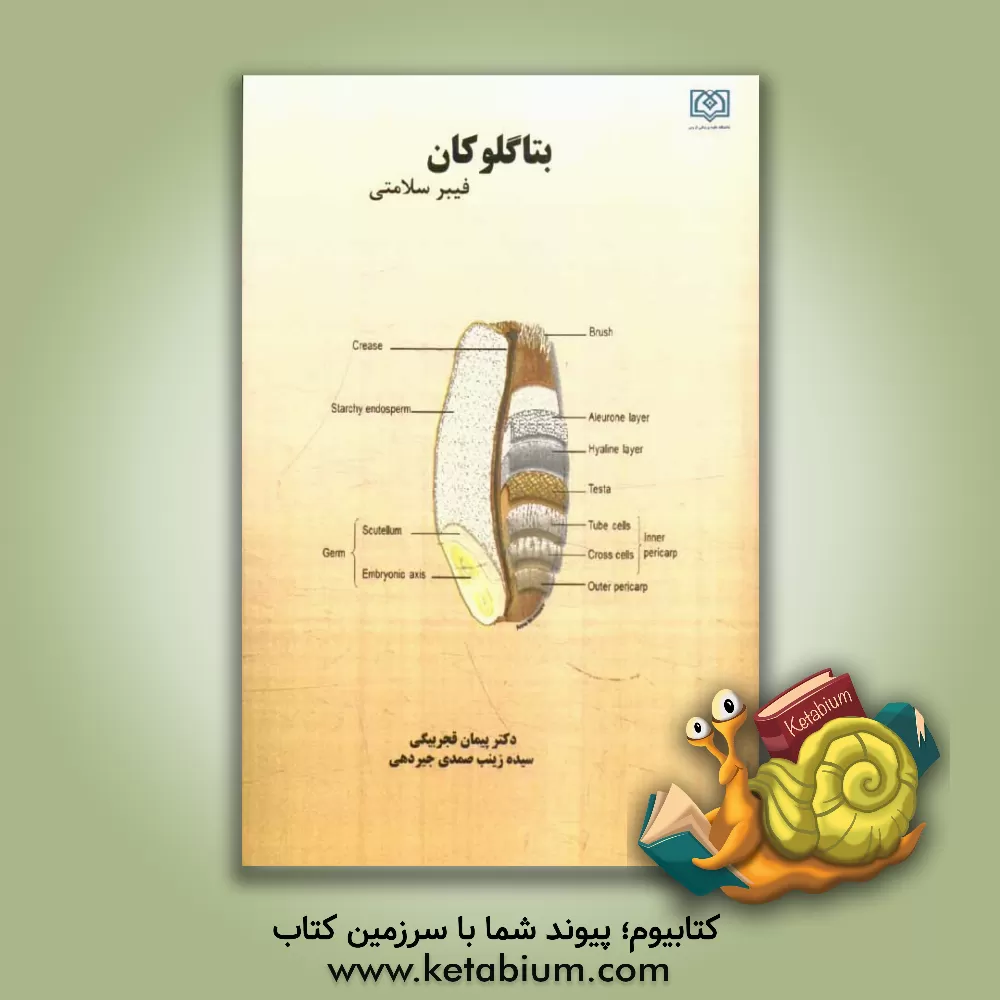 کتاب بتاگلوکان فیبر سلامتی اثر پیمان قجربیگی