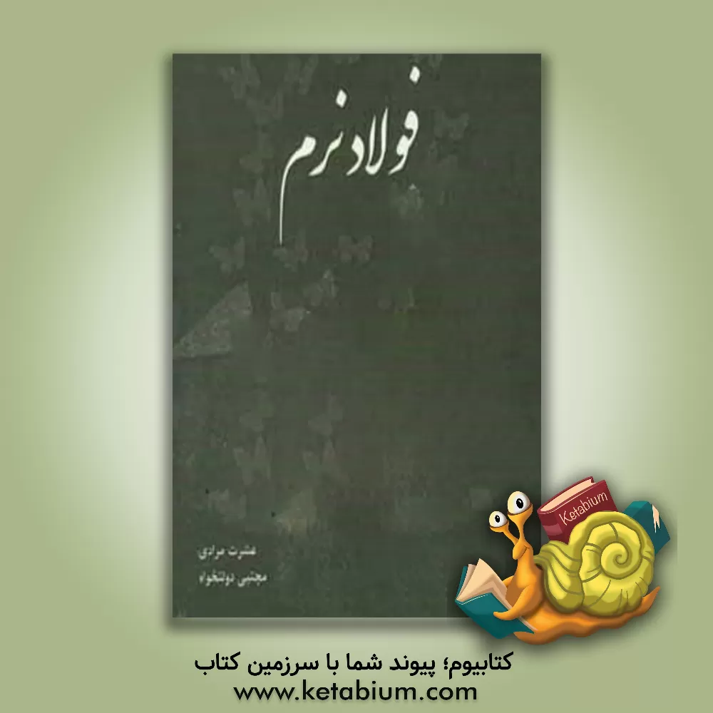 کتاب فولاد نرم اثر مجتبی دولتخواه