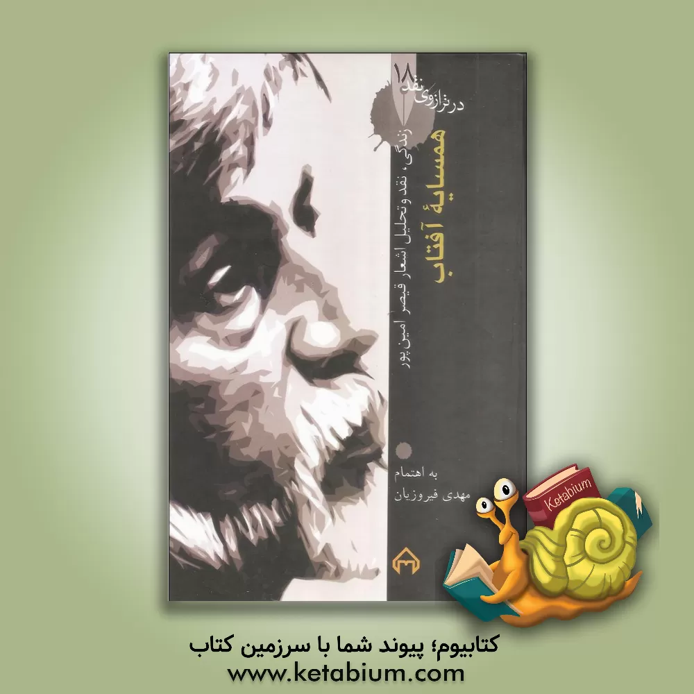 کتاب همسایه آفتاب: زندگی، نقد و تحلیل اشعار قیصر امین پور اثر مهدی فیروزیان‌حاجی