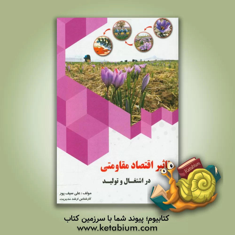 کتاب تاثیر اقتصاد مقاومتی در اشتغال و تولید اثر علی سیف‌پور