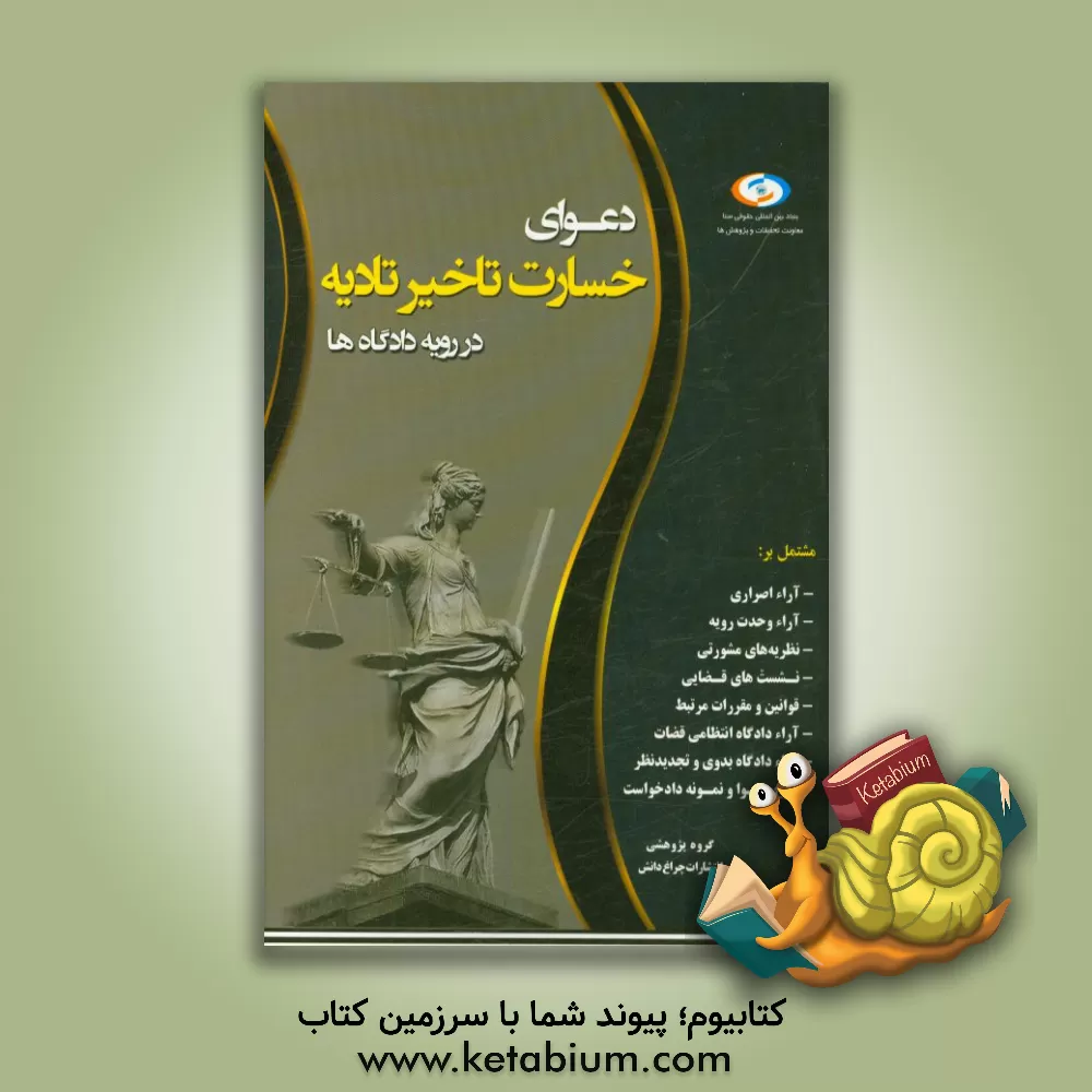 کتاب دعوای خسارت تاخیر تادیه در رویه دادگاه ها