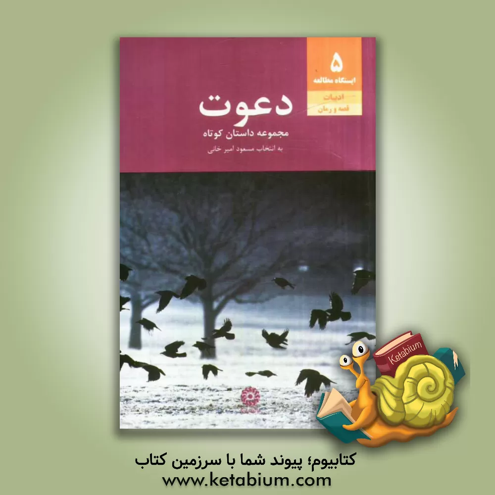 کتاب دعوت (چند داستان کوتاه) اثر مسعود امیرخانی