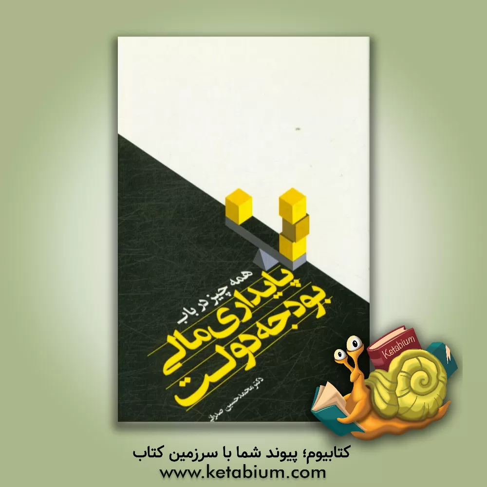 کتاب همه چیز در باب پایداری مالی بودجه دولت اثر محمدحسین صدرائی