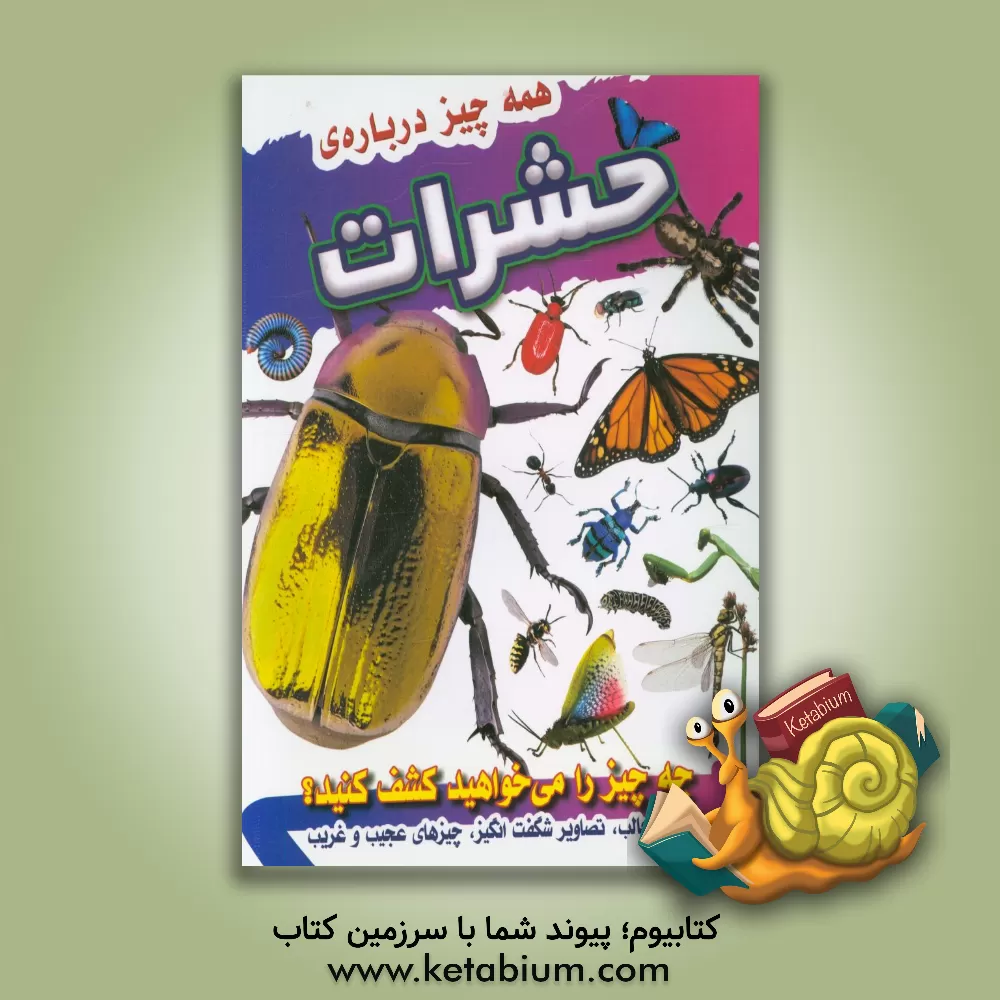 کتاب همه چیز درباره حشرات اثر آندریا میلز