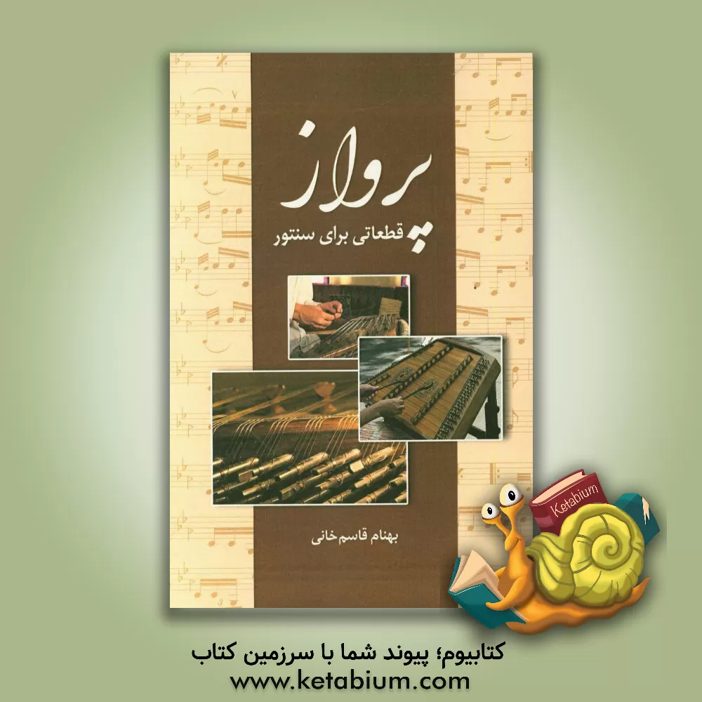 کتاب دف و دایره: در تاریخ ایران، در ادبیات فارسی، در جهان ایرانی اثر کیوان پهلوان