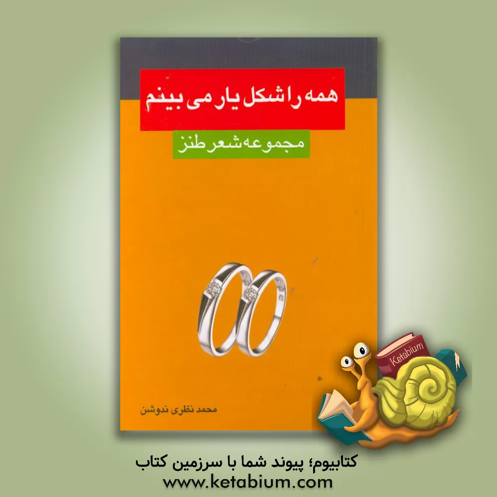 کتاب همه را شکل یار می بینم اثر محمد نظری‌ندوشن