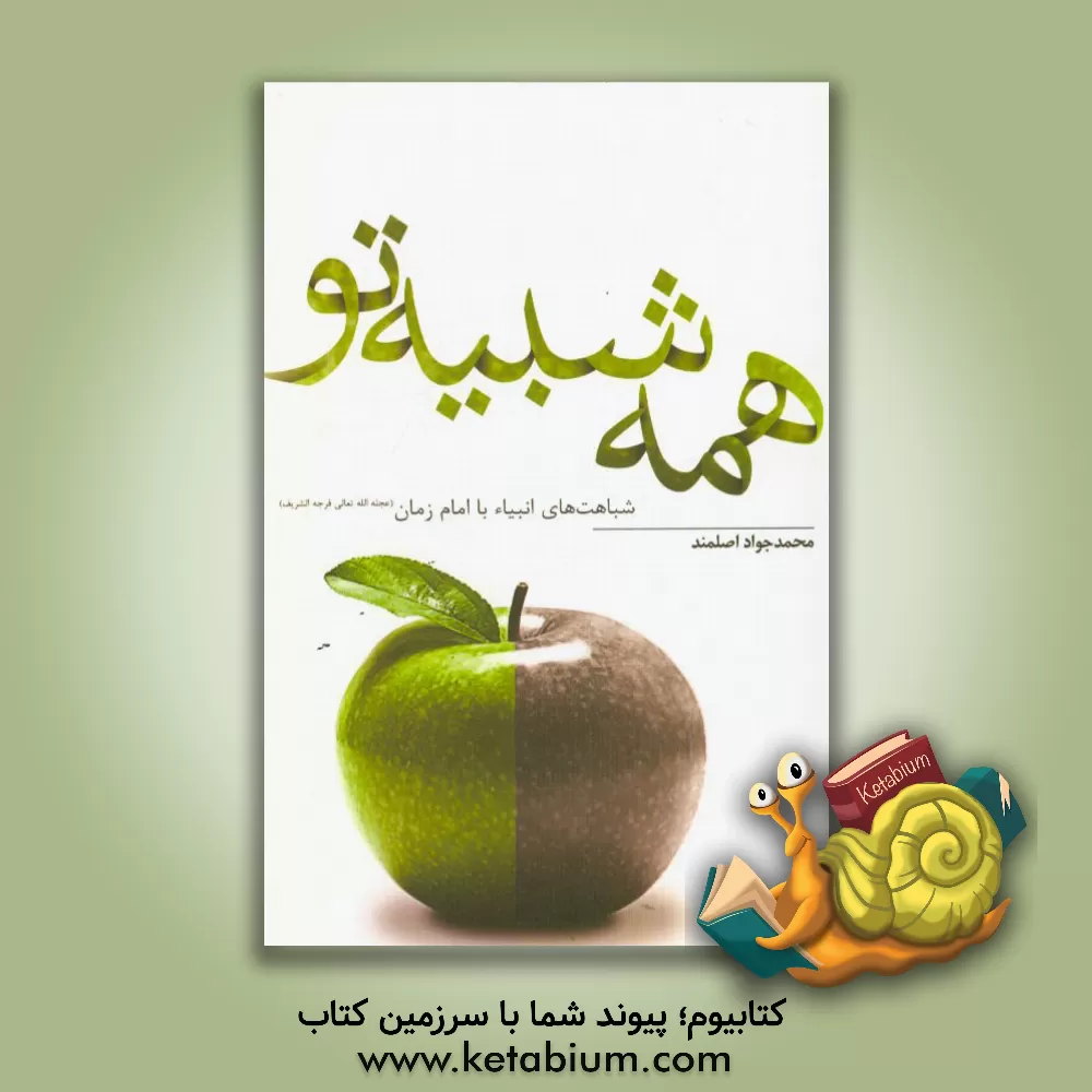 کتاب همه شبیه تو اثر محمدجواد اصلمند