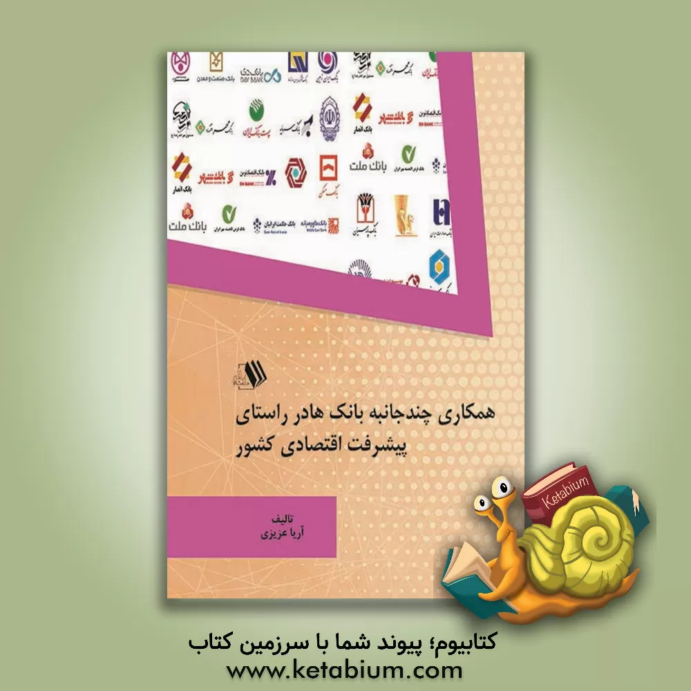 کتاب همکاری چندجانبه بانک ها در راستای پیشرفت اقتصادی کشور اثر آریا عزیزی