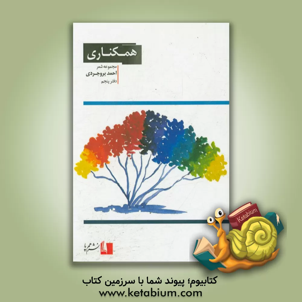 کتاب همکناری: مجموعه شعر اثر احمد بروجردی