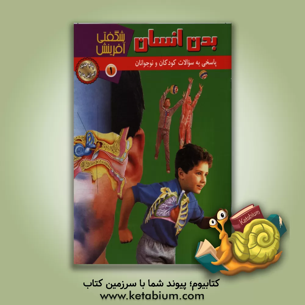 کتاب بدن انسان اثر سارا فیلیپس