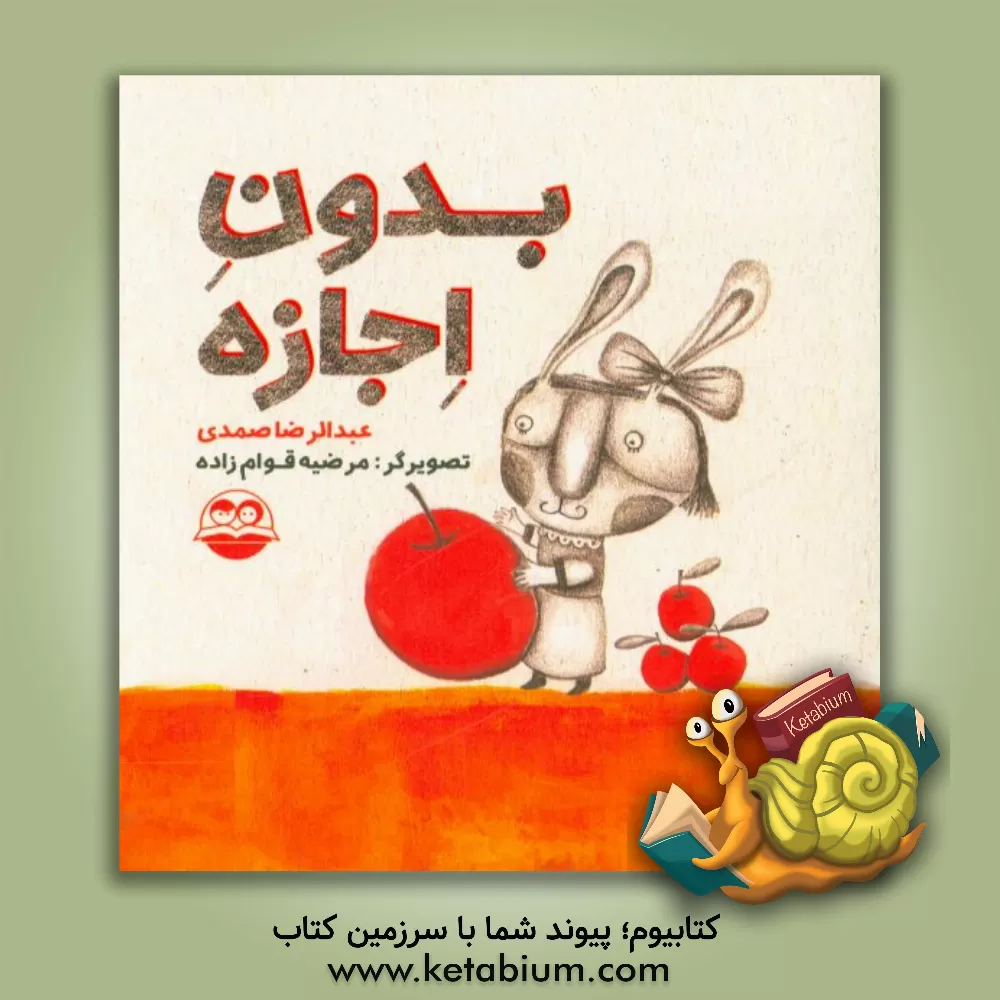 کتاب بدون اجازه اثر عبدالرضا صمدی