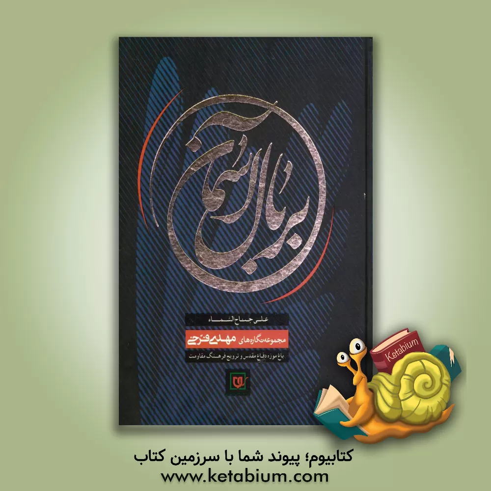 کتاب بر بال آسمان (مجموعه نگاره های مهدی فرخی) اثر مهدی فرخی‌