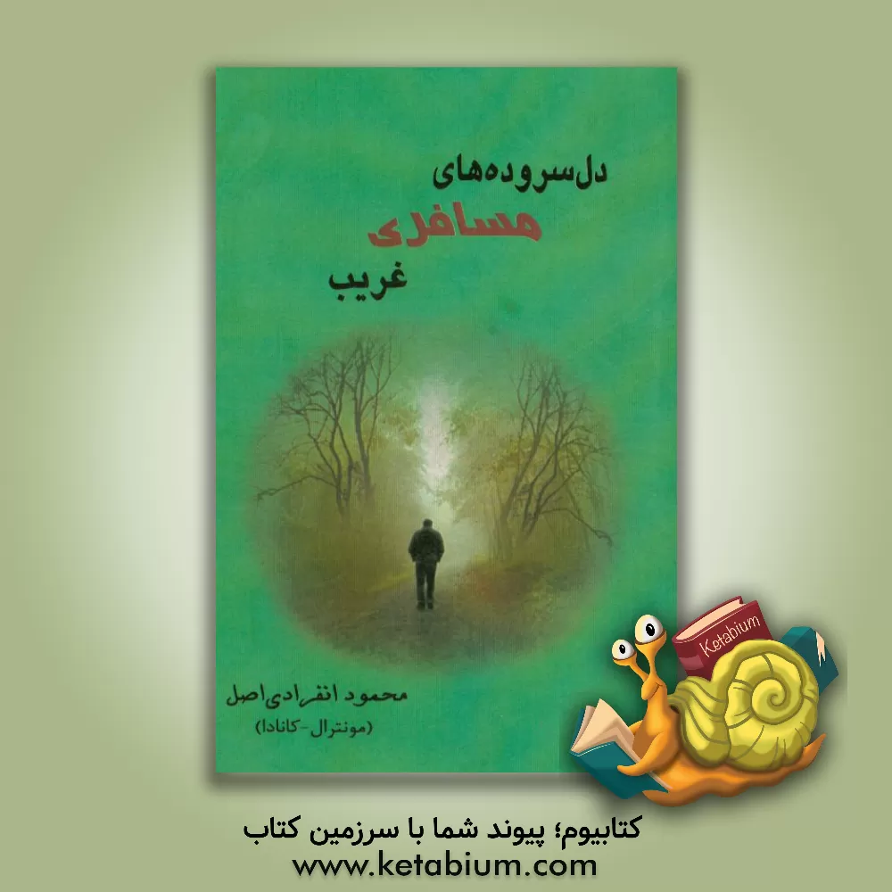 کتاب دل سروده های مسافری غریب: کتاب اول اثر محمدابراهیم ضرابی‌ها